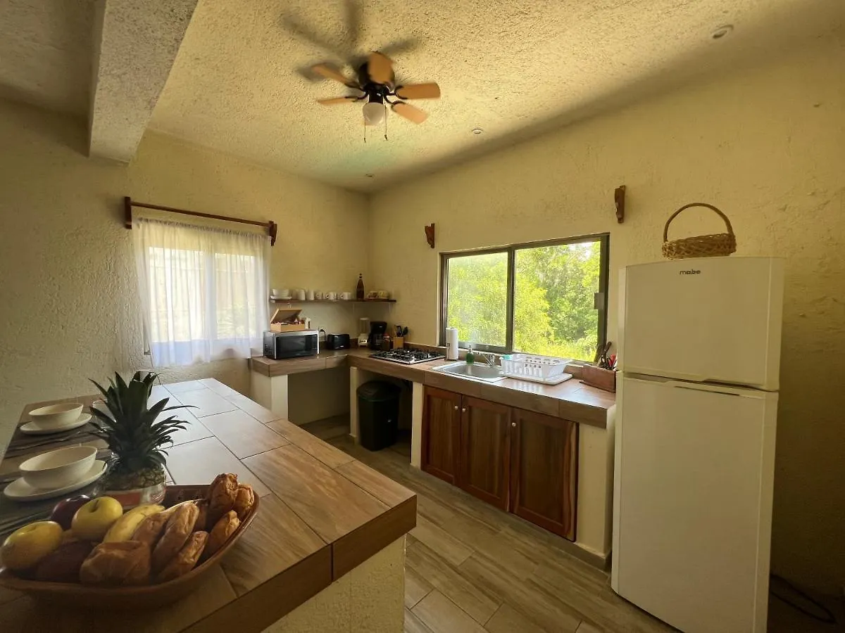 Baklis Apartments Tulum